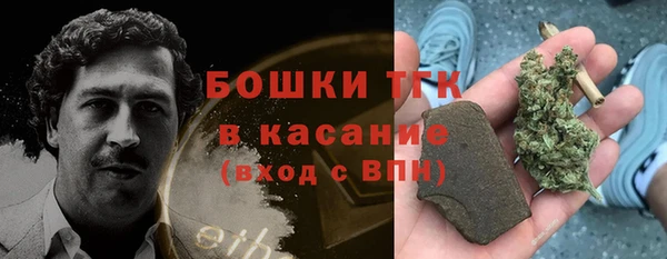 сатива Михайловка