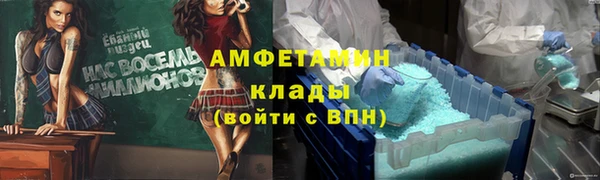 сатива Михайловка