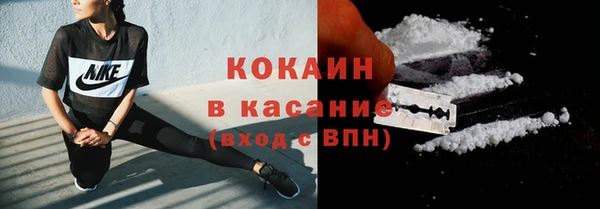 сатива Михайловка