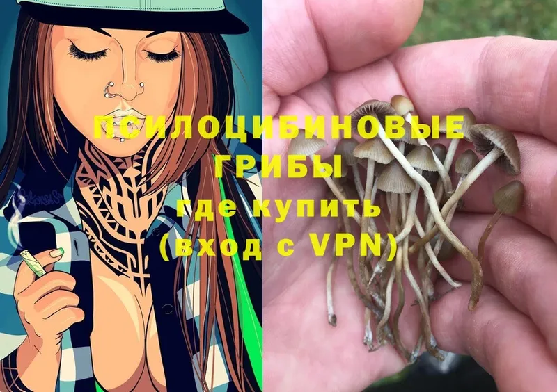 Псилоцибиновые грибы Psilocybe  Николаевск 