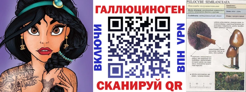 наркотики  ссылка на мегу сайт  Галлюциногенные грибы GOLDEN TEACHER  Николаевск 